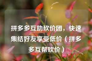 拼多多互助砍价团,快速集结好友享受低价(拼多多互帮砍价) 第1张 拼多多互助砍价团,快速集结好友享受低价(拼多多互帮砍价) 第1张