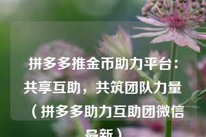 拼多多推金币助力平台:共享互助,共筑团队力量(拼多多助力互助团微信最新) 第1张 拼多多推金币助力平台:共享互助,共筑团队力量(拼多多助力互助团微信最新) 第1张