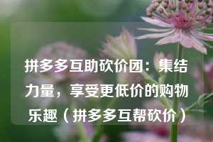 拼多多互助砍价团:集结力量,享受更低价的购物乐趣(拼多多互帮砍价) 第1张 拼多多互助砍价团:集结力量,享受更低价的购物乐趣(拼多多互帮砍价) 第1张