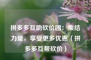 拼多多互助砍价团:集结力量,享受更多优惠(拼多多互帮砍价) 第1张 拼多多互助砍价团:集结力量,享受更多优惠(拼多多互帮砍价) 第1张