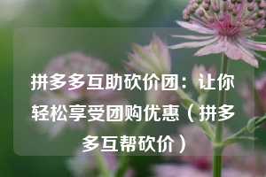 拼多多互助砍价团:让你轻松享受团购优惠(拼多多互帮砍价) 第1张 拼多多互助砍价团:让你轻松享受团购优惠(拼多多互帮砍价) 第1张