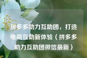 拼多多助力互助团,打造电商互助新体验(拼多多助力互助团微信最新) 第1张 拼多多助力互助团,打造电商互助新体验(拼多多助力互助团微信最新) 第1张