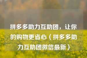 拼多多助力互助团,让你的购物更省心(拼多多助力互助团微信最新) 第1张 拼多多助力互助团,让你的购物更省心(拼多多助力互助团微信最新) 第1张
