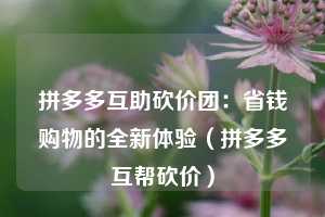 拼多多互助砍价团:省钱购物的全新体验(拼多多互帮砍价) 第1张 拼多多互助砍价团:省钱购物的全新体验(拼多多互帮砍价) 第1张