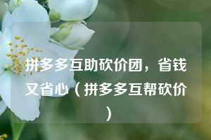 拼多多互助砍价团,省钱又省心(拼多多互帮砍价) 第1张 拼多多互助砍价团,省钱又省心(拼多多互帮砍价) 第1张