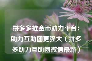 拼多多推金币助力平台:助力互助团更强大(拼多多助力互助团微信最新) 第1张 拼多多推金币助力平台:助力互助团更强大(拼多多助力互助团微信最新) 第1张