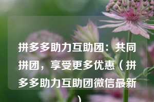 拼多多助力互助团:共同拼团,享受更多优惠(拼多多助力互助团微信最新) 第1张 拼多多助力互助团:共同拼团,享受更多优惠(拼多多助力互助团微信最新) 第1张