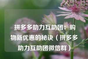 拼多多助力互助团:购物新优惠的秘诀(拼多多助力互助团微信群) 第1张 拼多多助力互助团:购物新优惠的秘诀(拼多多助力互助团微信群) 第1张