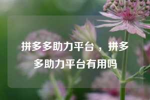 拼多多助力平台 ,拼多多助力平台有用吗 第1张 拼多多助力平台 ,拼多多助力平台有用吗 第1张