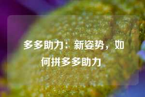 多多助力:新姿势,如何拼多多助力 第1张 多多助力:新姿势,如何拼多多助力 第1张