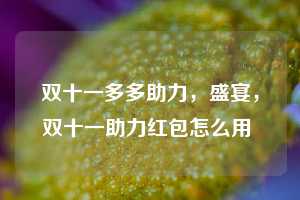 双十一多多助力,盛宴,双十一助力红包怎么用 第1张 双十一多多助力,盛宴,双十一助力红包怎么用 第1张