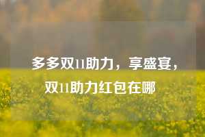多多双11助力,享盛宴,双11助力红包在哪 第1张 多多双11助力,享盛宴,双11助力红包在哪 第1张
