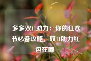 多多双11助力:你的狂欢节必备攻略,双11助力红包在哪 第1张 多多双11助力:你的狂欢节必备攻略,双11助力红包在哪 第1张