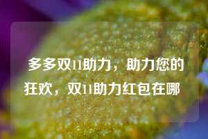 多多双11助力,助力您的狂欢,双11助力红包在哪 第1张 多多双11助力,助力您的狂欢,双11助力红包在哪 第1张