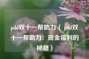 pdd双十一帮助力（ pdd双十一帮助力：现金福利的秘籍）  第1张