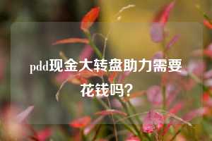 pdd现金大转盘助力需要花钱吗？  第1张