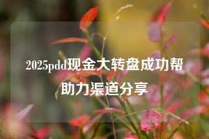 2025pdd现金大转盘成功帮助力渠道分享  pdd帮助力 pdd推金币 pdd推金币帮助力 pdd帮助力平台 pdd帮助力项目 赚钱项目 暑假赚钱项目 pdd赚钱 第1张