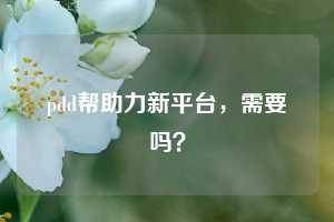 pdd帮助力新平台，需要吗？  pdd帮助力 pdd帮助力平台 pdd刷帮助力平台 pdd帮助力平台在线刷 第1张