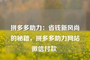 拼多多助力：省钱新风尚的秘籍，拼多多助力网站微信付款  第1张