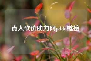 真人砍价助力网pddd链接 第1张 真人砍价助力网pddd链接 第1张