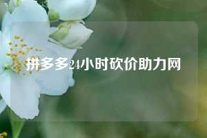 拼多多24小时砍价助力网  第1张