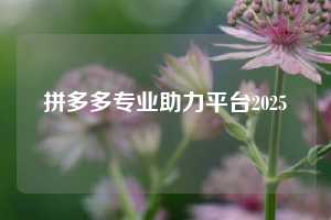 拼多多专业助力平台2025 拼多多助力 拼多多助力平台网站 拼多多刷助力平台网站 拼多多助力平台网站在线刷 拼多多助力平台 第1张 拼多多专业助力平台2025 拼多多助力 拼多多助力平台网站 拼多多刷助力平台网站 拼多多助力平台网站在线刷 拼多多助力平台 第1张