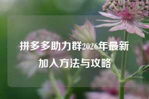 拼多多助力群2026年最新加入方法与攻略  拼多多助力 助力群 2026 第1张